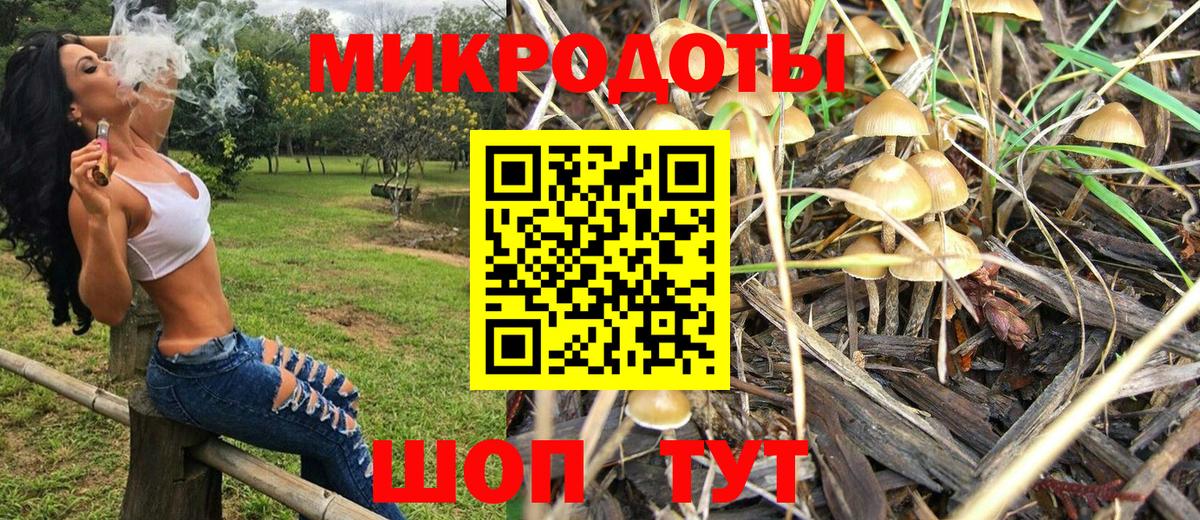 Псилоцибиновые грибы Psilocybine cubensis Казань